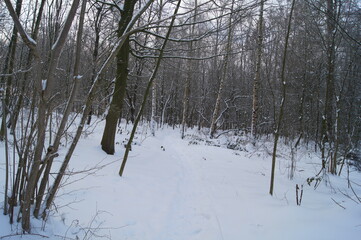winterliche Landschaft in Europa Bielefeld