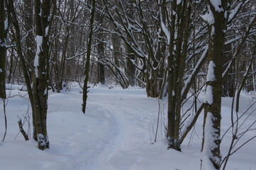 winterliche Landschaft in Europa Bielefeld