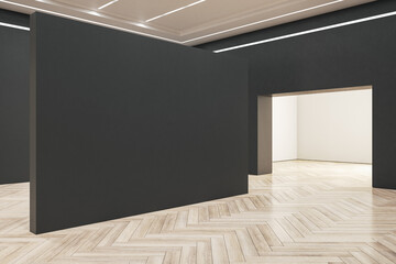 Minimalistic gallery interior