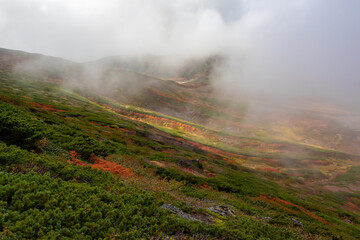 Fototapeta na wymiar 秋の北海道・大雪山で見た、雲に覆われる北海岳山頂付近の紅葉