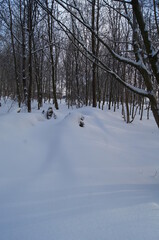 winterliche Landschaft in Europa Bielefeld