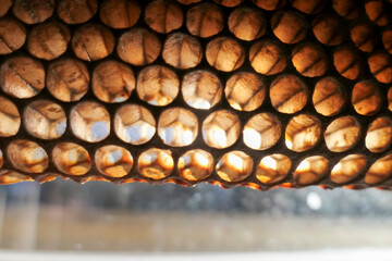 alvéole cadre abeille