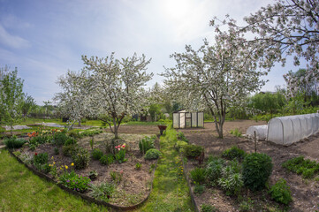 Rural spring blooming landscape. Caring for the garden in the country in the spring.