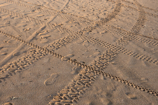 Entrecruzamiento de huellas, pisadas y rodadas en la playa de Trafalgar, bajo la luz tendida del atardecer.