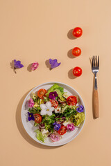 Vegetarian salad with tomato, lettuce, and cheese garnished with edible flowers with ingredients in hard light next to a plate. Spring food concept. 