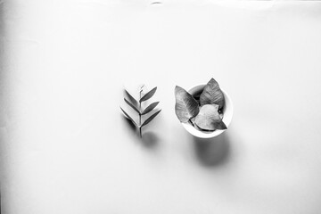 Eucalyptus leaves in a bowl on a gray background