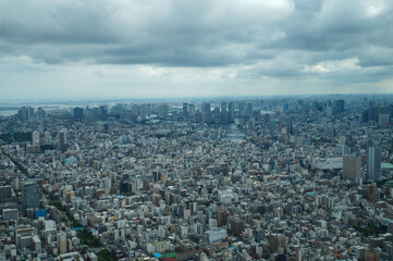 Fototapeta premium skyline Tokyo from the top of skytree