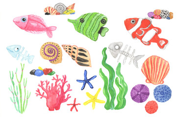 Set of marine tropical fish and seashells. Vector color illustration. Watercolor background. Isolated elements for easy use. Can be used for clothes, web ...
