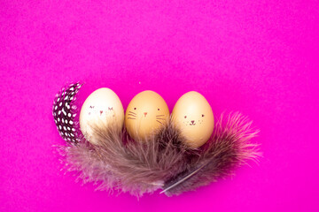 cozy Easter eggs with painted animal faces in a nest of feathers on a pink background.