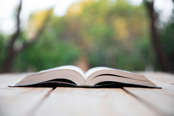 Open Holy Bible in nature