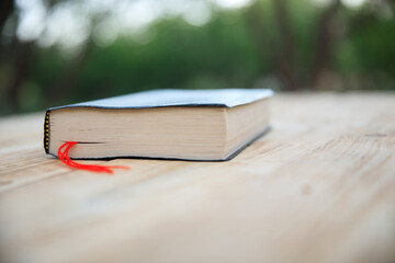 Holy Bible in nature