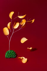 creative food photo of chips and peanuts in wasabi with levitation and freezing movement, the concept of a leaf fall of chips, a tree made of branches and a mound of nuts on a red background.