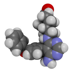 Evobrutinib drug molecule. 3D rendering. Atoms are represented as spheres with conventional color coding: hydrogen (white), carbon (grey), nitrogen (blue), oxygen (red).