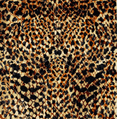 leopard skin pattern