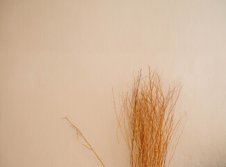 Obraz premium Dry tree with white plaster wall