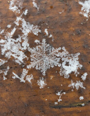 Closeup of snowflakes