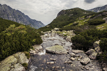 Valley of Five Ponds in the Tatra National Park