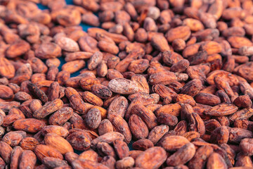 Dried and sun-dried cocoa bean background