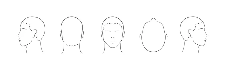 Poster Set of human head icons. Lined male head in different angles isolated on white background. Vector illustration © InvisionFrameStudio