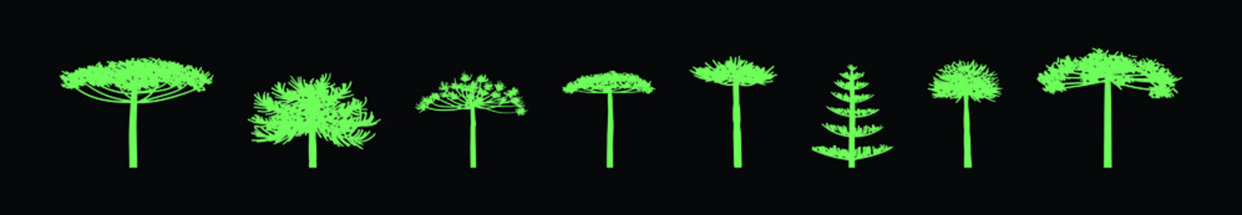 set of araucaria tree cartoon icon design template with various models. vector illustration isolated on black background