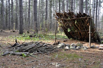 primitive shelter in made of branches in a forest clearing 