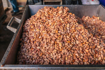 .Fresh cocoa beans for fermentation