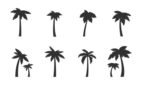 Palm icons set. 8 black palm tree silhouettes isolated on white background. Palms, Coconut icons. Vector illustration