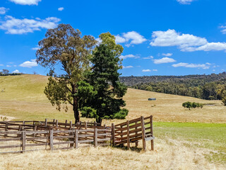 Victorian Rural Country in Australia
