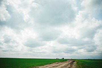 road in the field