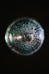 light bulb flickering