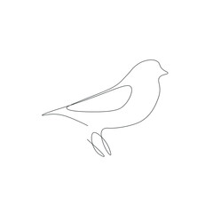 Bird drawing silhouette line drawing, vector illustration
