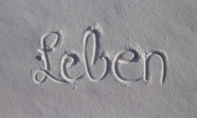 Leben