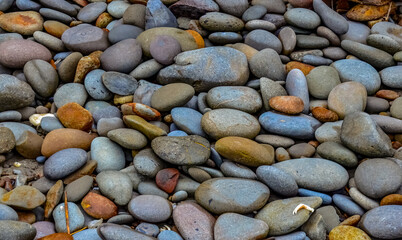 Multicolored round pebble stones on the Pacific Ocean in Olympic National Park, Washington