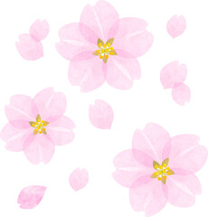 Fototapeta na wymiar Watercolor style illustration of cherry blossoms