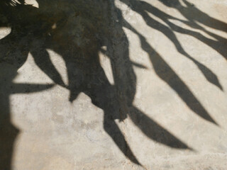 Abstract shadow of leaves on concrete wall, overlay effect for photo, mock up, posters, stationary, wall art, design presentation