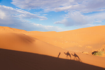 Fototapeta na wymiar A camelback caravan excursion casts shadows on the golden desert sand dunes of Erg Chebbi near the village of Merzouga in southeastern Morocco.
