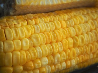Close up of the sweet corn