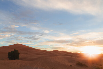 Fototapeta na wymiar A sunrise or sunset landscape view of the desert sand dunes of Erg Chebbi near the village of Merzouga, Morocco.