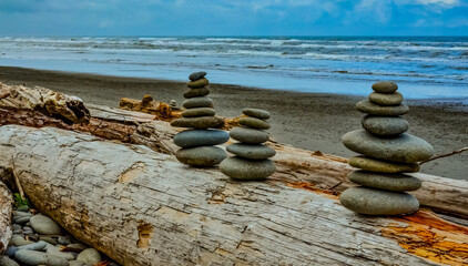 Round multicolored stones on tree trunks in Olympic National Park, Washington, USA