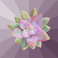Geometrical illustration of a pink succulent isolated on a red fading background