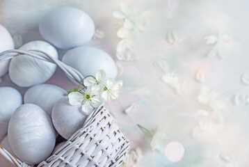 Naklejka na ściany i meble A basket with painted eggs and white flowers of a cherry tree on a light background. Easter still life in delicate colors.