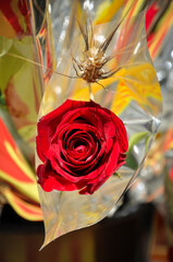 Tarragona, Spain - April 23, 2014: Roses to celebrate Sant Jordi day, the day of the book and the...