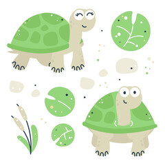 Hand drawn childish set with turtles, leaves and reeds.