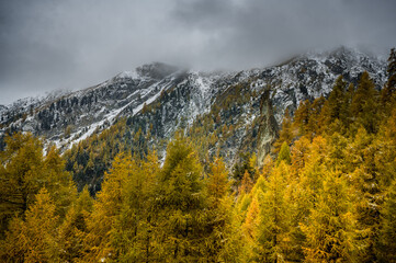 cloudy valley with larches at Arolla, Val d'Herens