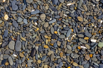 Multicolored round pebble stones on the Pacific Ocean in Olympic National Park, Washington