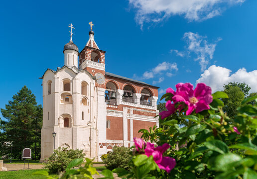 Suzdal, Russia. View of The campanile of The Saviour Monastery of St. Euthymius with flowers on a rosehip bush in the foreground.
