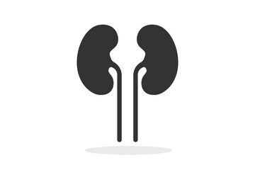 Kidney. Simple icon. Flat style element for graphic design. Vector EPS10 illustration.