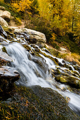 long exposure mountain creek in autumn larches in Valais