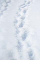 .Footprints in the snow, winter landscape.