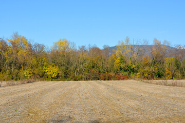 The autumn landscape in the fields near the village of Moimacco close to Cividale del Friuli, Udine Province, Friuli-Venezia Giulia, north east Italy
